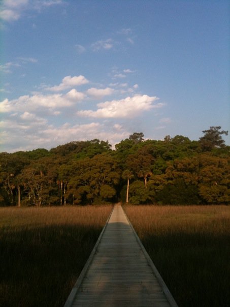 State Park boardwalk on Edisto Island